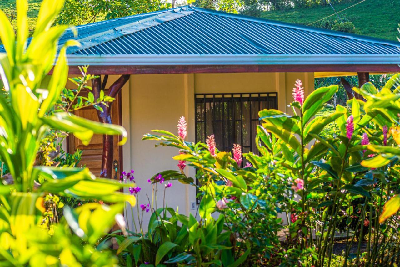 Rio Celeste Springs Blue Lodge Bijagua Exterior photo